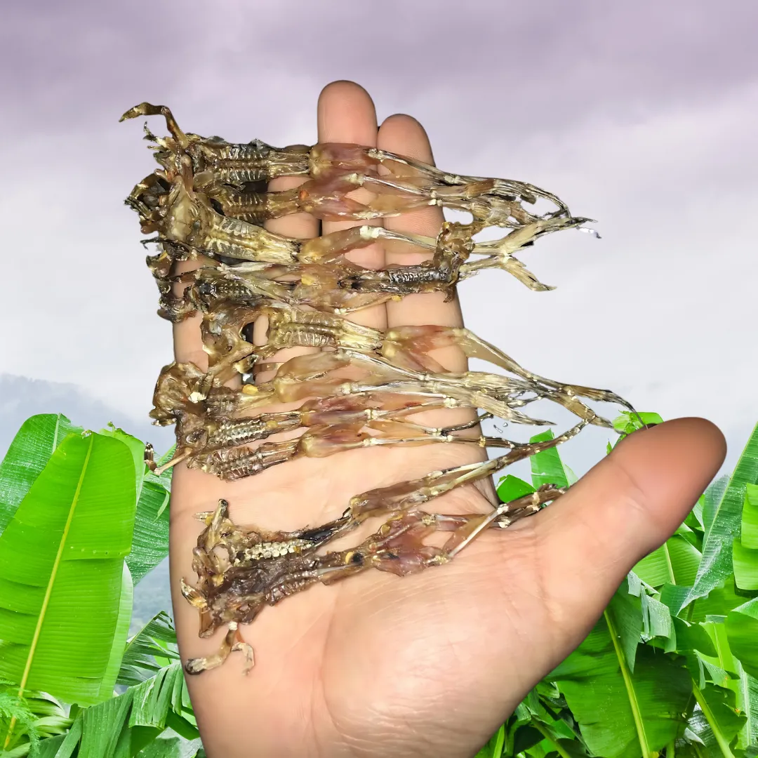 Khô nhái An Giang thành phẩm trên tay - con nhỏ đều, chân duỗi thẳng