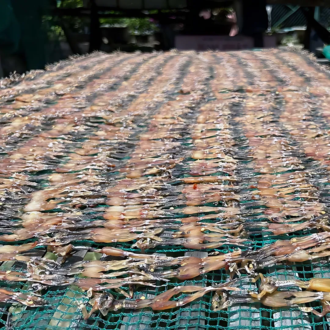 Khô nhái phơi trên giàn tại làng nghề An Giang